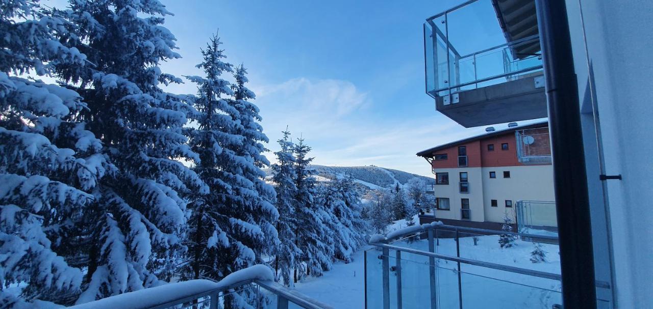 Apartman Nerudovka D 104, Finska Sauna, Garazove Stani Loučná pod Klínovcem Eksteriør billede