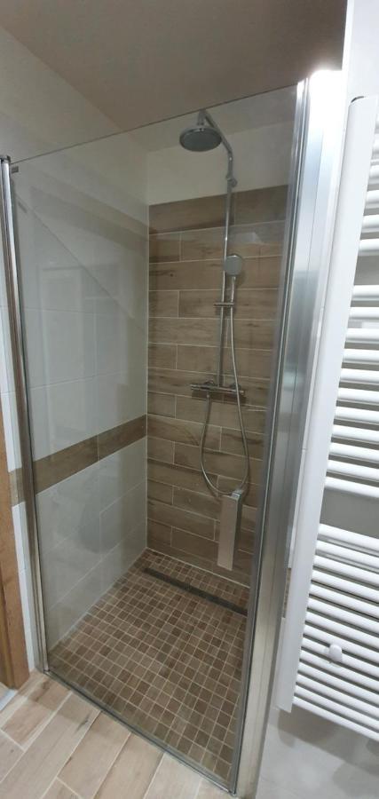 Apartman Nerudovka D 104, Finska Sauna, Garazove Stani Loučná pod Klínovcem Eksteriør billede