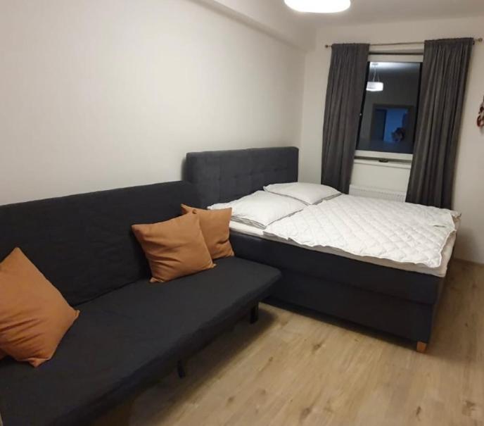 Apartman Nerudovka D 104, Finska Sauna, Garazove Stani Loučná pod Klínovcem Eksteriør billede